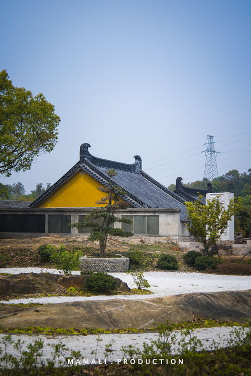 温州虽然不大,但是佛缘不浅,龙脉所在的寺庙值得一去
