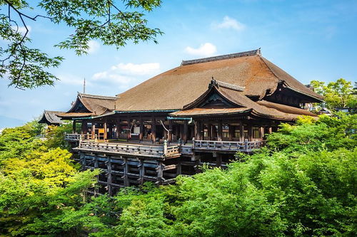 潮人旅行家 京都 大阪 的味道 参加完潮人国旅这个产品,客人惊呼 到乐