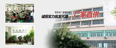 男装 温州市瓯海梧田尊龙服装加工厂