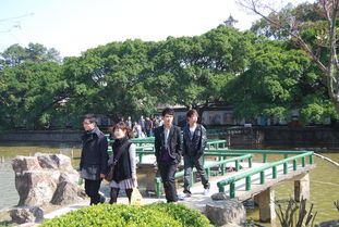温州江心寺专辑 第3页