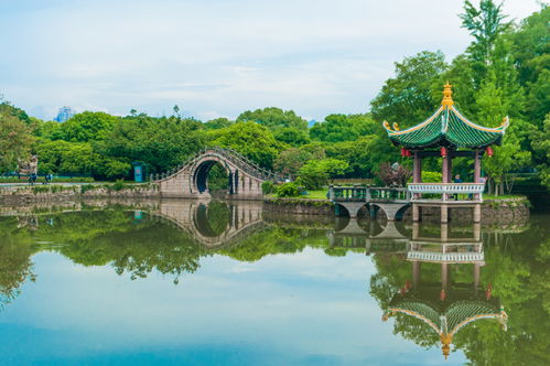百县千碗 味 在瓯江山水间