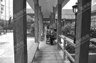 温州海归成年轻院长 把打火机厂改成养老院 温州江心寺