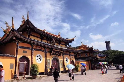 我在温州刚刚好，何必羡慕北上广