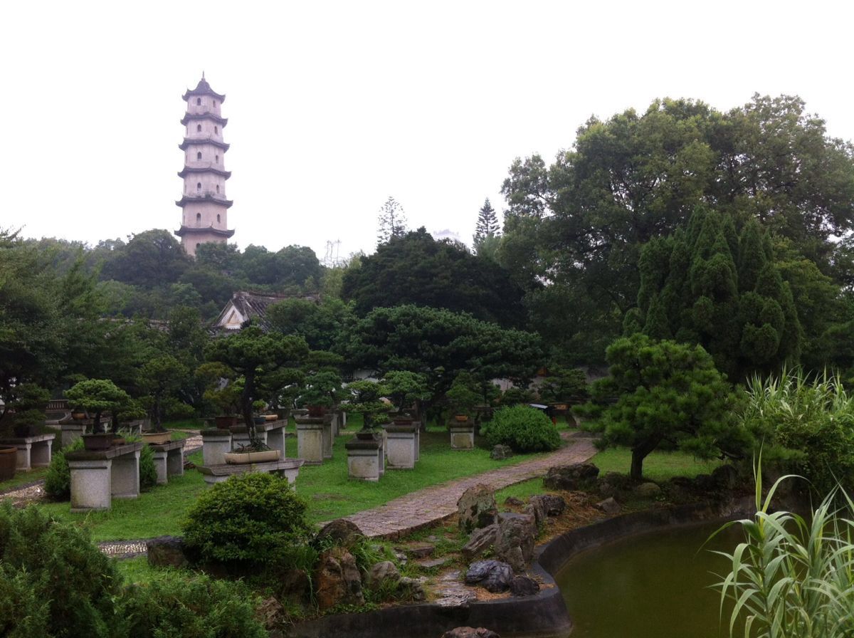 温州江心寺 亲子家庭的文化休闲好去处