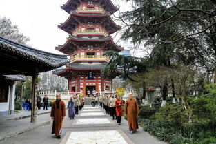 温州妙果寺第十一期一日禅禅修营圆满举行