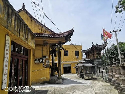 温州牛山济公寺与江心寺 两座寺庙的对话