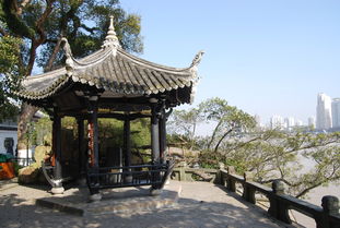 温州江心屿与江心寺 瓯江上的千年佛国与诗岛